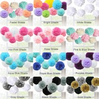 9 Pack Mixed Tissue Paper Pompom Pom Poms Hanging Garland Wedding Party Decor